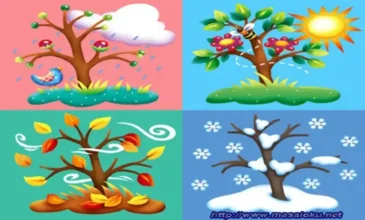 dört mevsim masalı