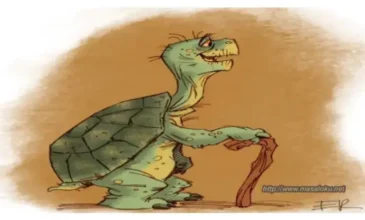 yaşlı kaplumbağa masalı