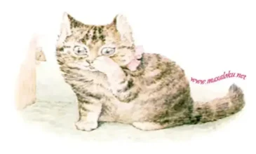 açgözlü kedi masalı