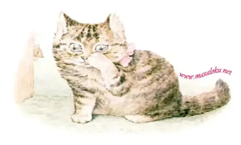 açgözlü kedi masalı