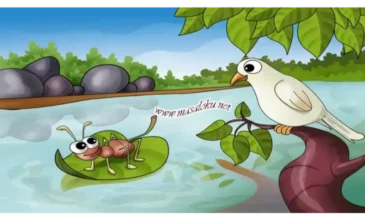 güvercin ile karınca masalı