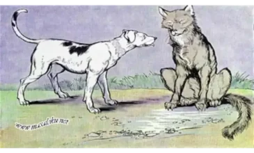 kurt ile köpek masalı
