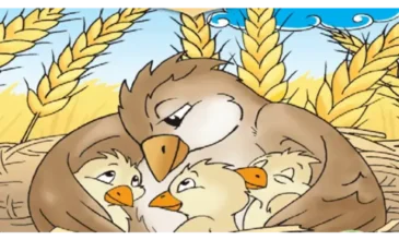 tarla kuşu ve yavruları