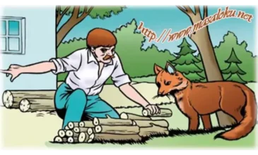 tilki ile oduncu masalı