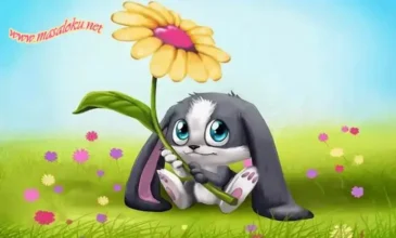 tembel tavşan masalı