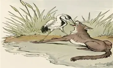 kurt ile turna masalı