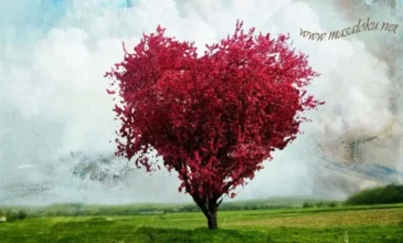 sevgi ağacı masalı