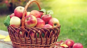 Sihirli Elma 5 – sihirli elma masali