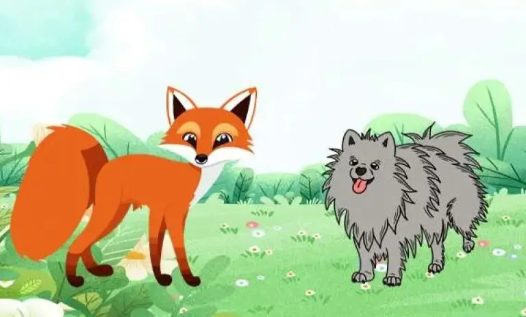 tilki ile köpek
